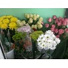 Салон цветов «Виола»